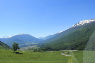 山间绿野公路美景