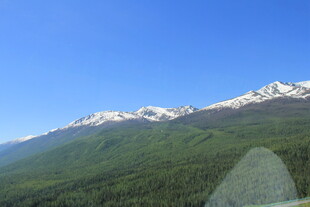 雪山下的葱郁山林