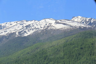 雪山下的葱郁山林