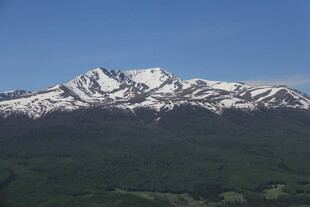 壮丽雪山与葱郁山林景观