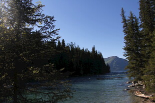 森林环绕的清澈河流风光
