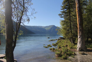 湖畔森林美景