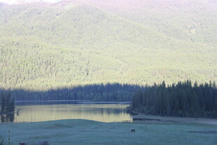 宁静湖畔山林美景