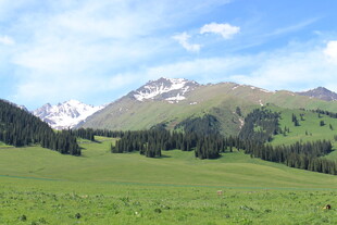 草原雪山美景风光