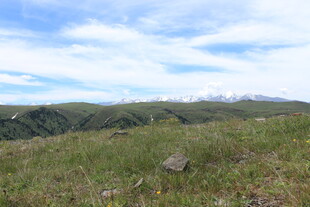 山间草地 蓝天白云美景