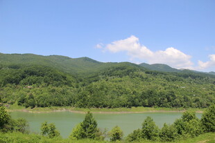 青山绿水间的宁静湖泊