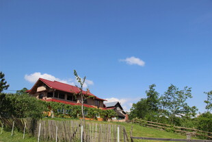 乡村红顶小屋 绿意环绕