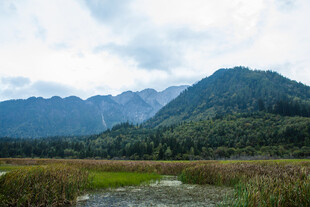 山间湿地美景