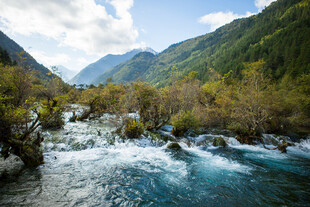 山间湍急溪流与葱郁山林