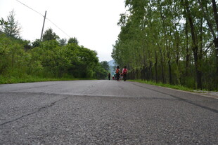 林间公路 静谧骑行风景