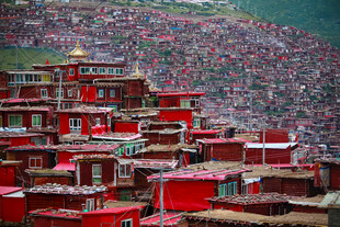 色达红房子 佛国壮观景象