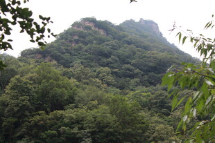 青山绿树环绕的秀丽山峰
