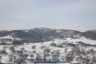 冬日雪山景观