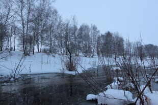 冬日雪景中的静谧河岸