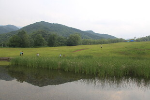 山间绿野湖畔美景