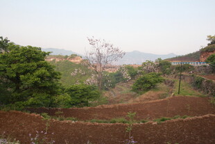 山间田园风光