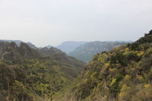 山间美景 绿意盎然的山谷