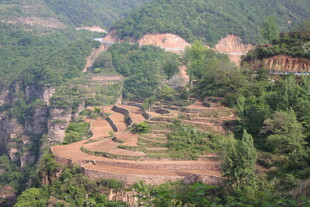 山间梯田美景
