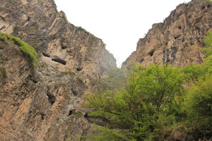 山间峡谷绿意点缀
