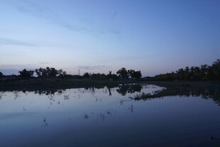 宁静湖畔黄昏美景