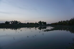 宁静湖面的黄昏倒影