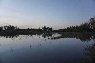 宁静湖面的黄昏美景