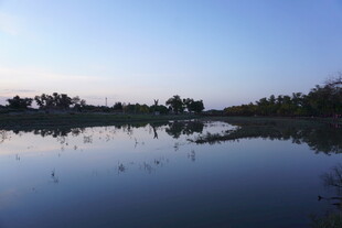 宁静湖面与岸边树木倒影