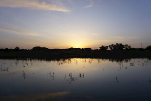 夕阳下平静湖面的美丽景象