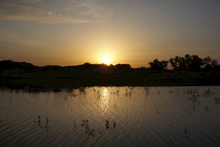 夕阳下的静谧水域