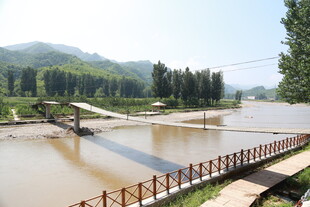 河畔风景 木桥横跨浑水河