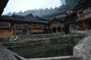 苗族传统村落中的水塘景观