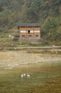 湖畔小屋与戏水白鹅