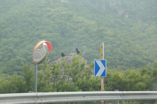 公路旁交通标志与山景