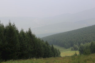 山林间的静谧自然景致