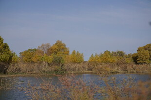 秋日湖畔风光