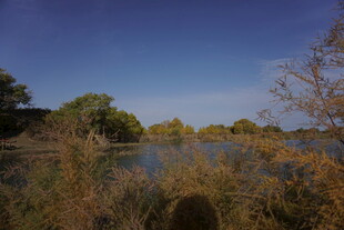 湖畔秋景 草木与蓝天相映