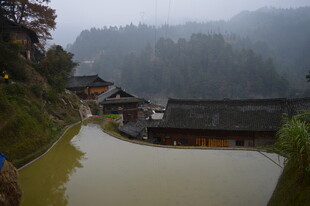 雾中水乡村落美景