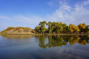 秋日湖畔美景