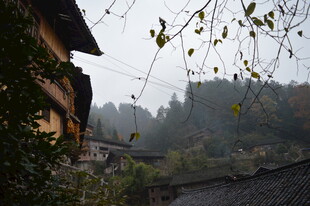 山间村落 静谧古朴之景