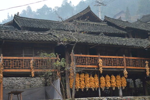 湘西苗族传统吊脚楼景观