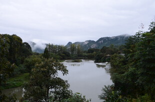 山间河流与葱郁植被景观