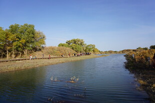 河畔风光美景如画