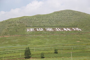 山坡上的建设美丽中国标语
