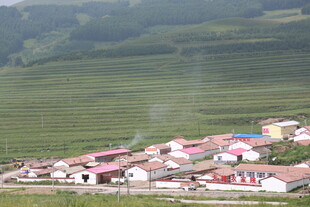 乡村田园风光中的村庄群落