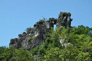 奇峰穿林 自然鬼斧神工