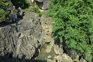 山间幽径旁的岩石与绿植