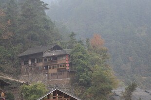 山间木屋隐于葱郁林木间