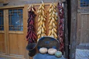 农家门前的丰收晾晒景象