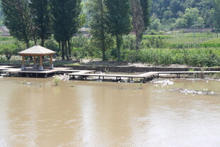 河畔凉亭 自然乡村景致