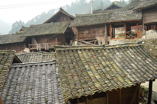 古朴村落瓦房屋顶景象